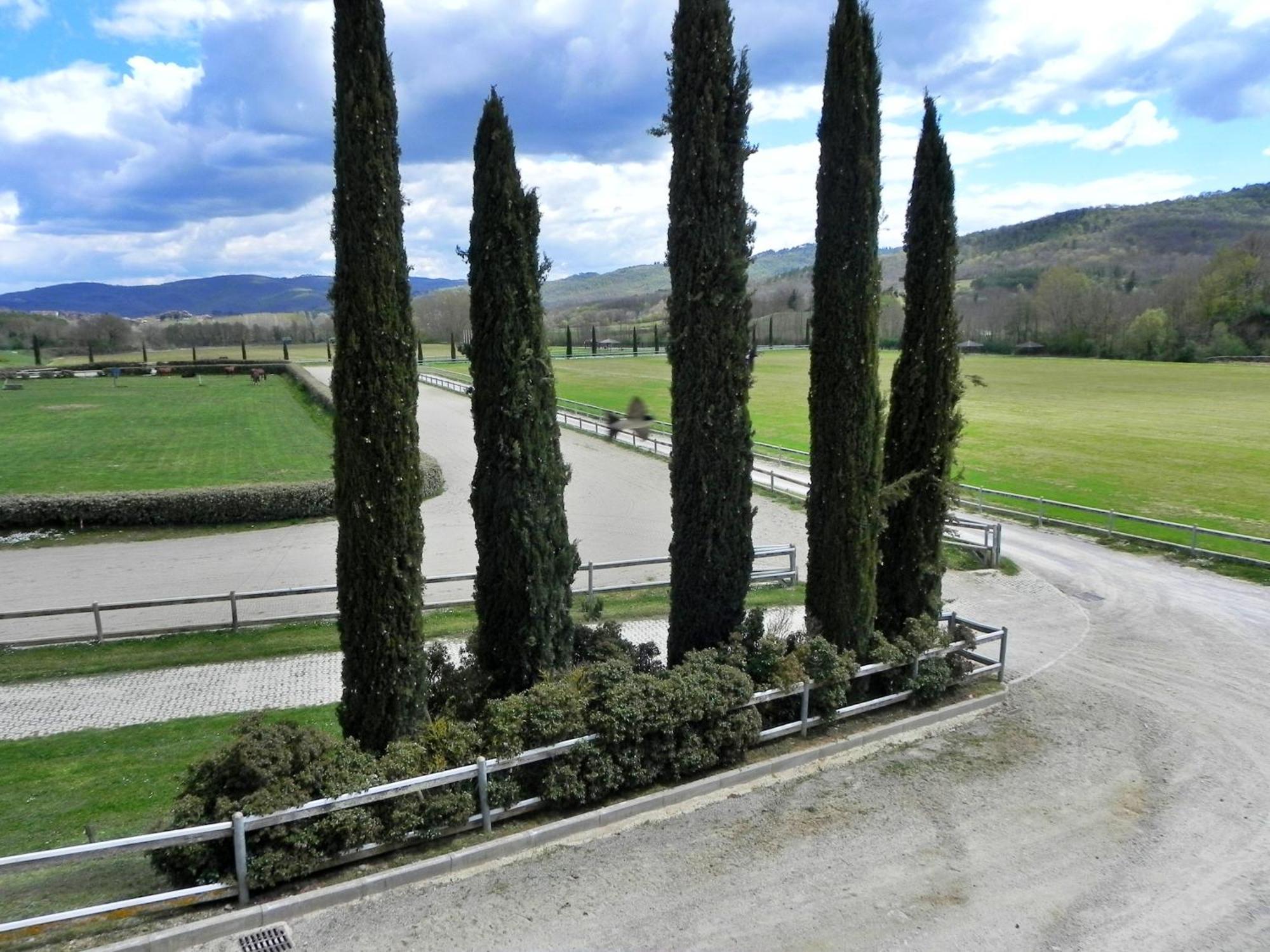Relais La Martina Pietraviva Quarto foto